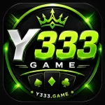 Y333 Game